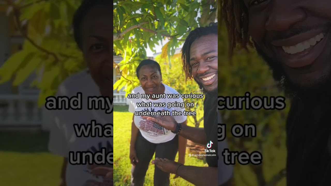 Under the Mango Tree #reels #daynemalcolm