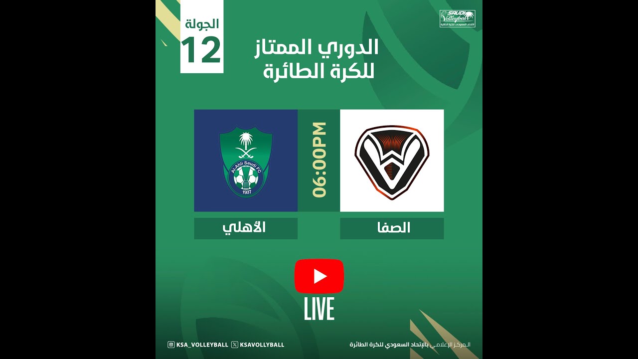 الدوري الممتاز للكرة الطائرة 