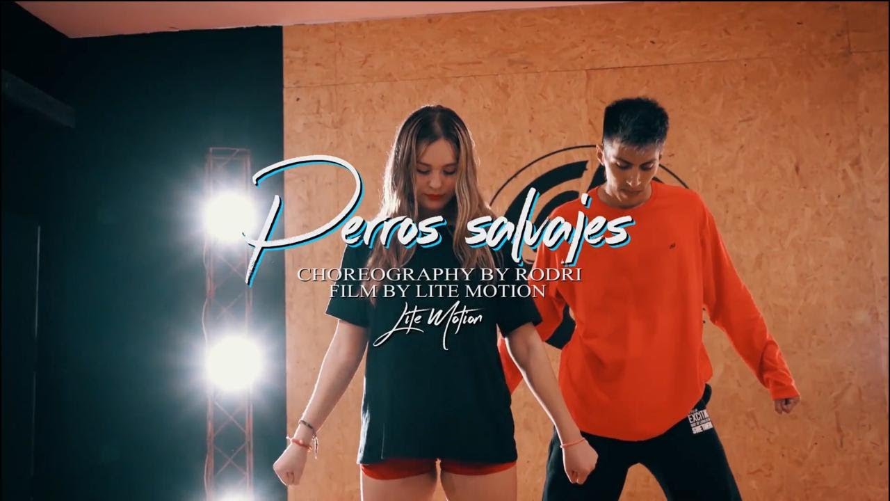 Perros salvajes - Daddy Yankee // Rodri Nuñez