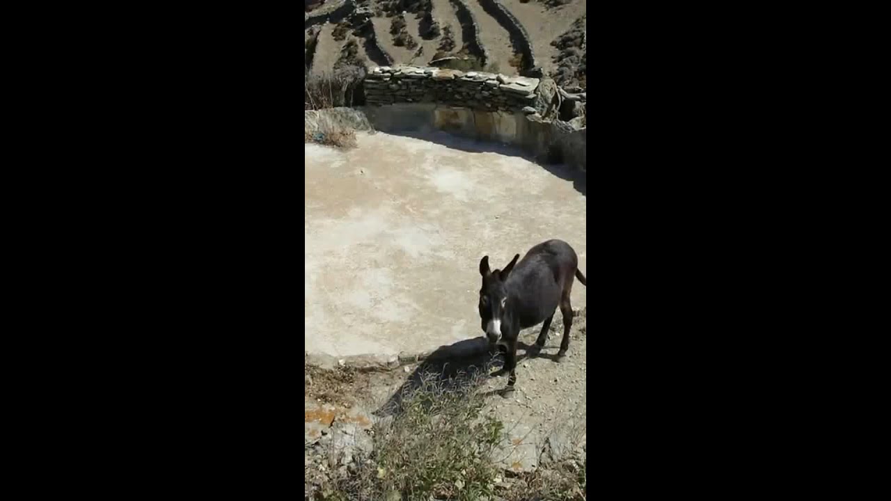 Explanation of the Threshing Floor