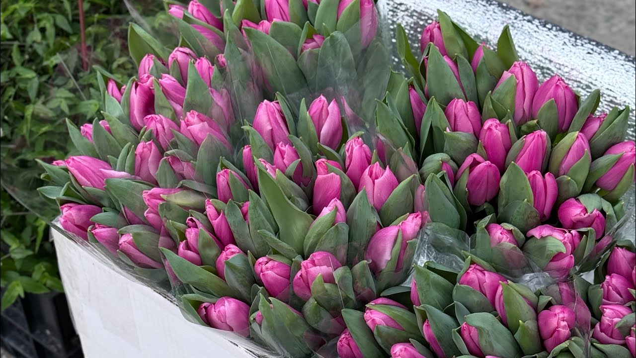 🌷ОПТОВЫЙ ЦВЕТОЧНЫЙ РЫНОК КРАСНОДАРА ПЕРЕД 8 МАРТА 🌸 Обзор и цены 🔥