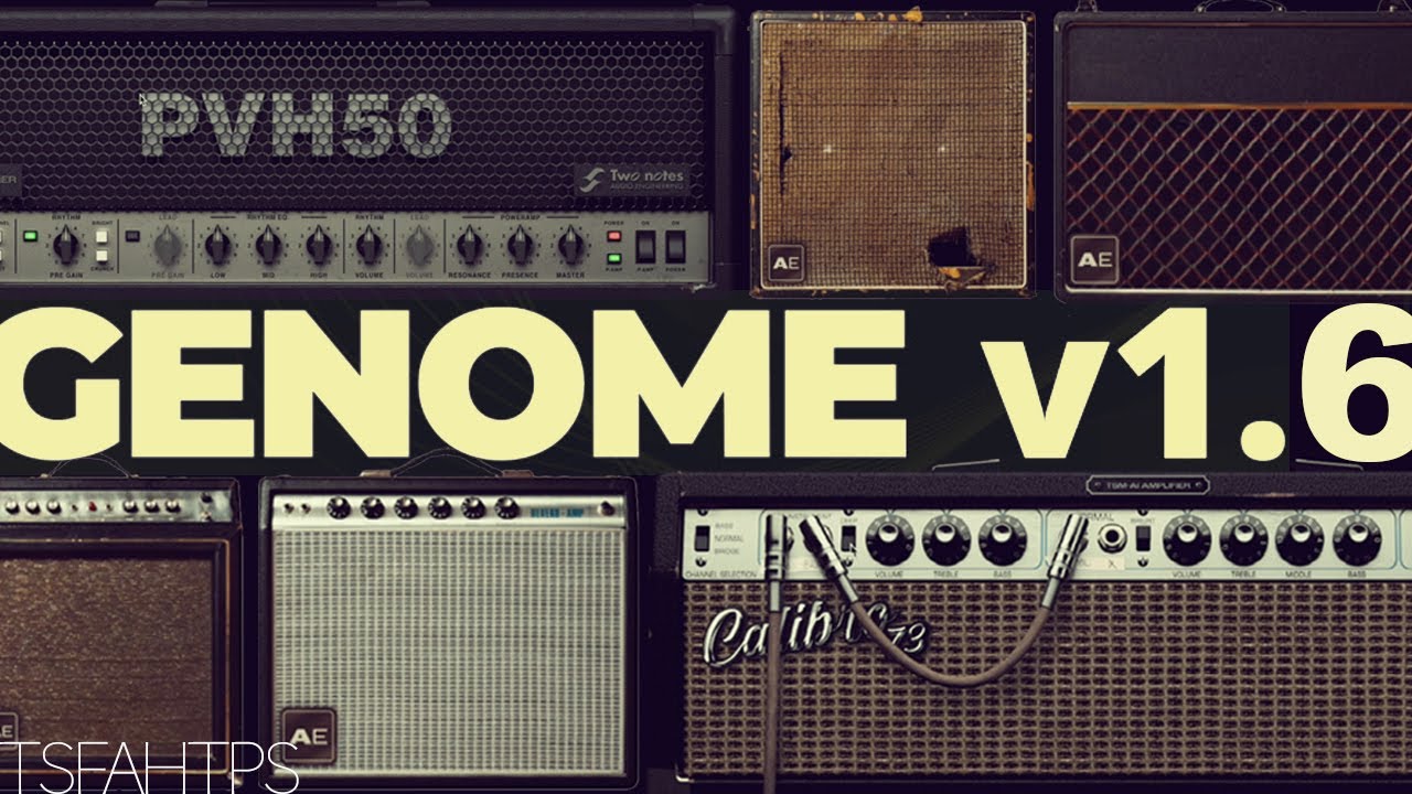 a Bassman, a 5150 and a bunch of Cabinets - Genome v1.6
