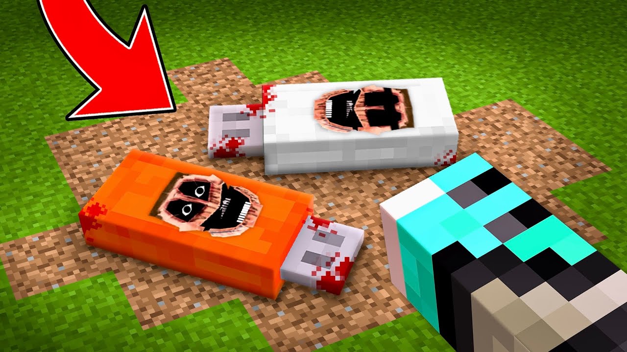 I Found Secret SCARY USB Drive in Minecraft!