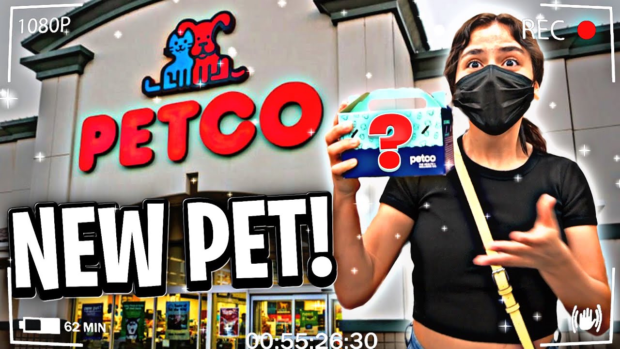I Said YES to My Girlfriend for 24 Hours&hellip;