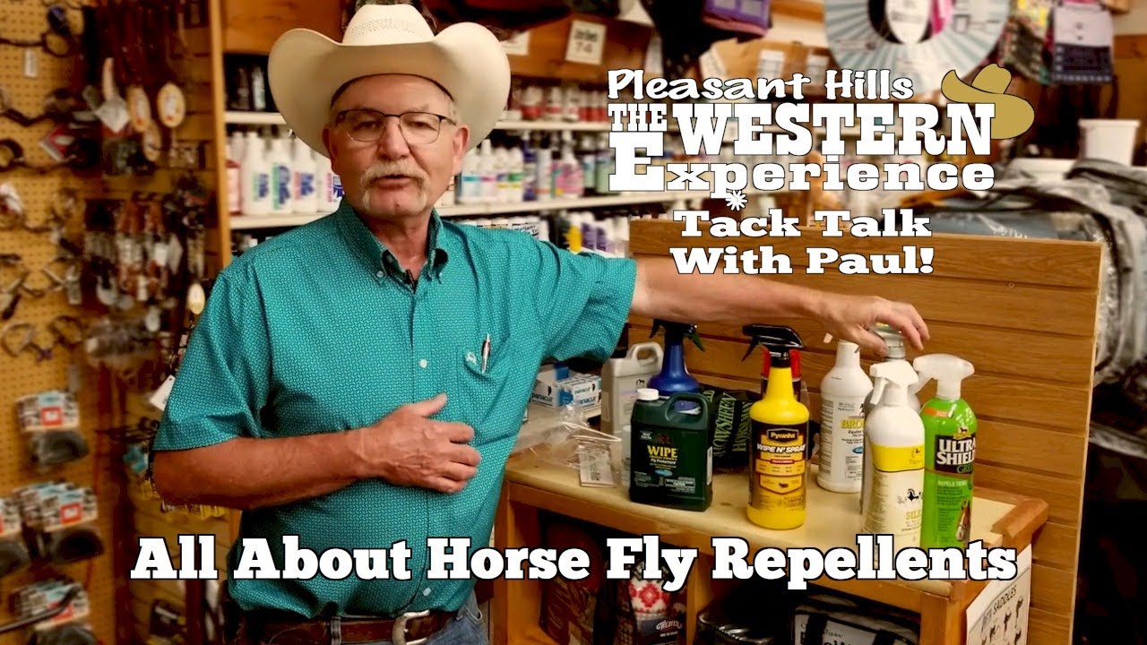 Best Horse Fly Repellent; Tack Talk with Paul