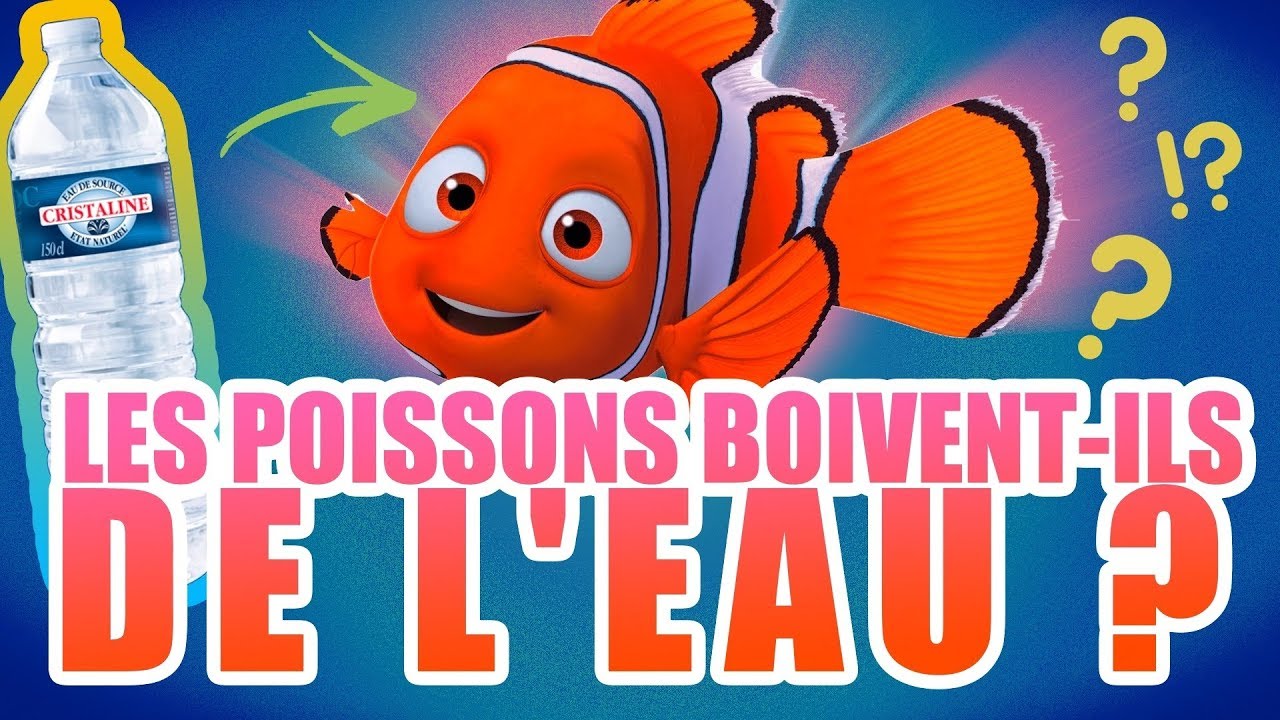 LES POISSONS BOIVENT-ILS DE L'EAU ?