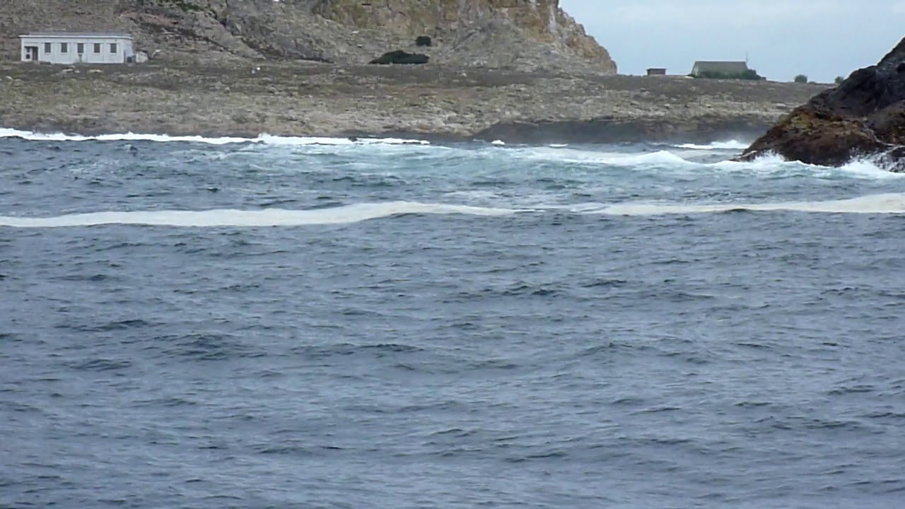 Farallon Islands - Shark Attack