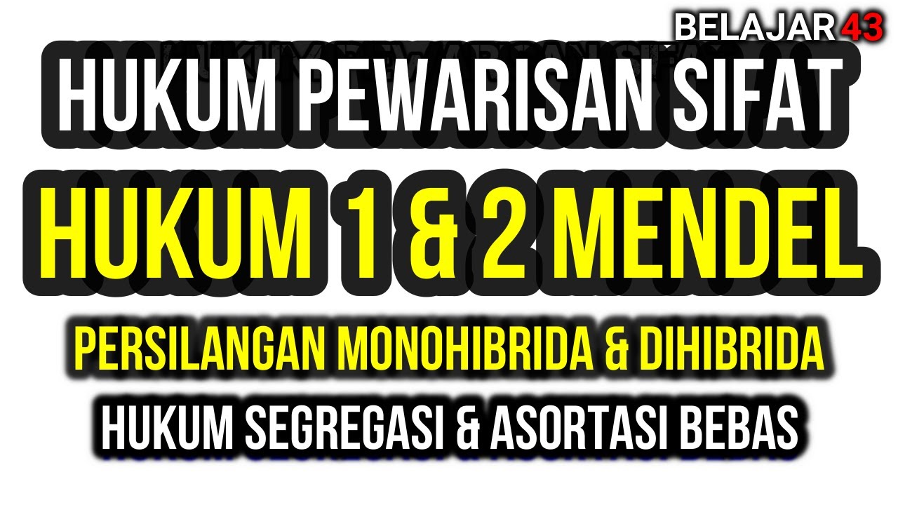 Hukum Pewarisan Sifat (Hukum 1 dan 2 Mendel - Seri Pewarisan Sifat Bagian 2)