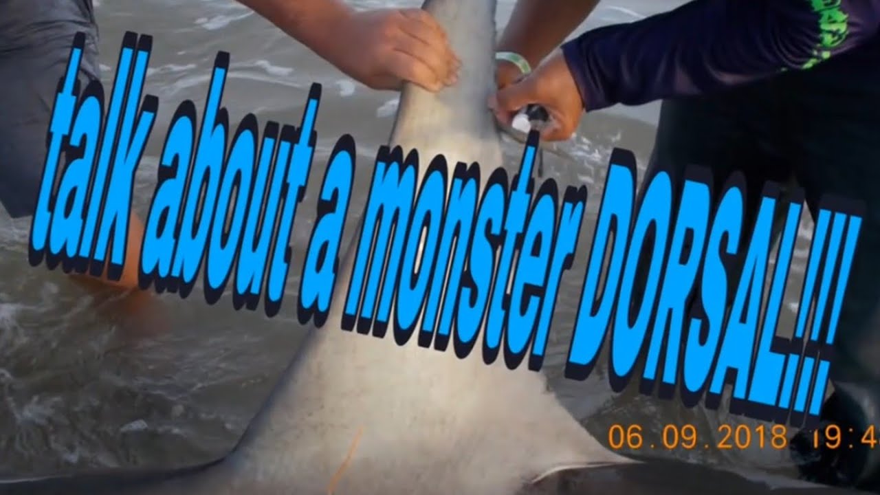 Monster Hooked Beach Fishing 