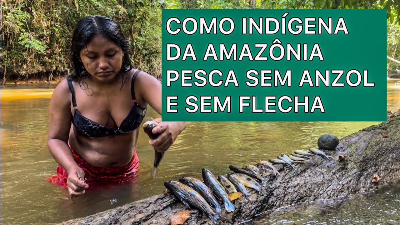Como Indígena da Amazônia pesca sem anzol sem flecha. PARTE 1