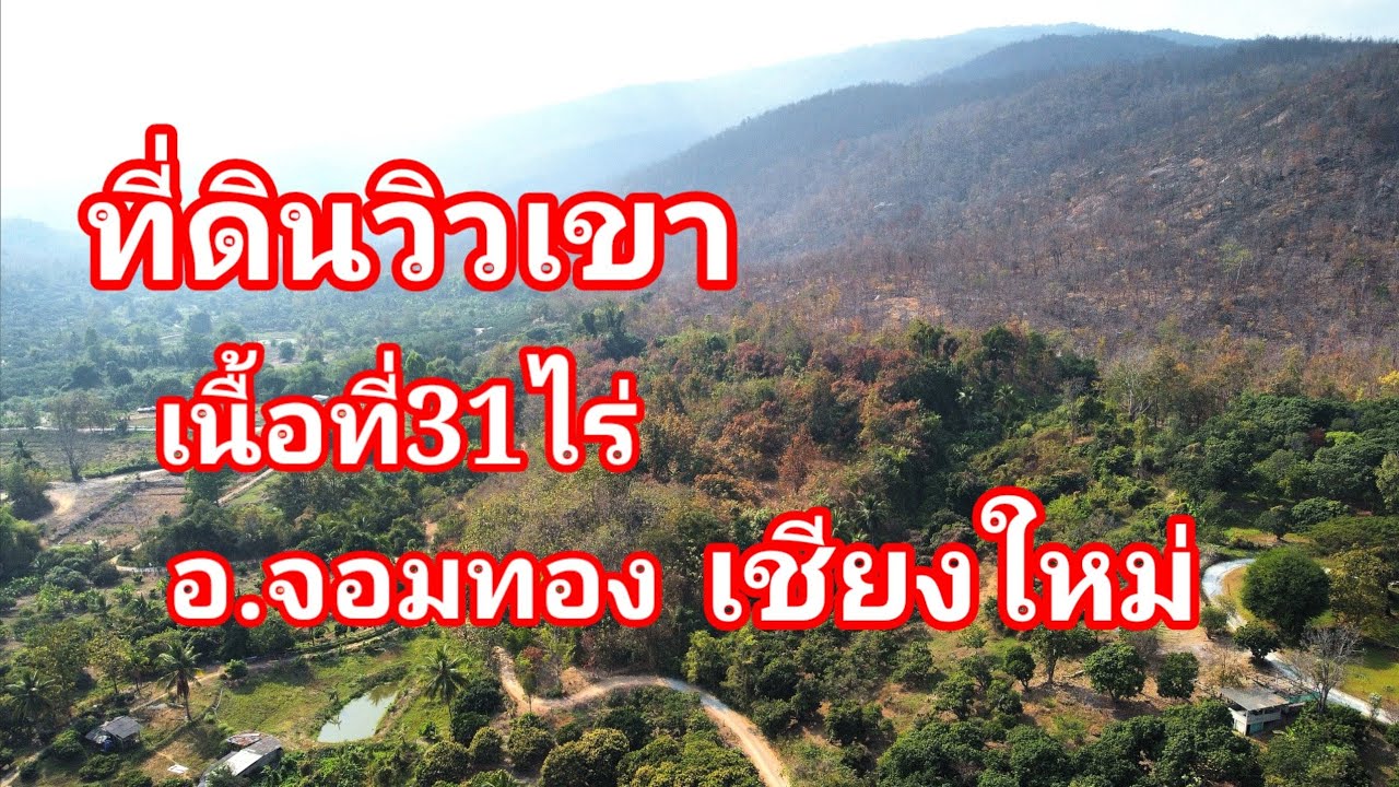 ที่ดิน​วิวเขาEP608.ที่ดินพร้อมสวนสักเนื้อที่31ไร่ติดลำเหมืองพิกัดต.บ้านหลวง/อ.จอมทอง​เชียงใหม่​