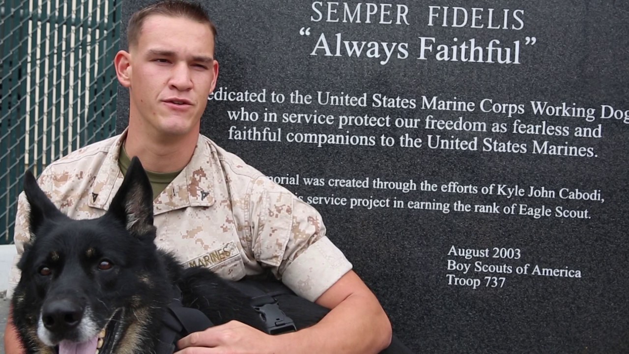 Camp Pendleton Marine Corps K9 Q&A