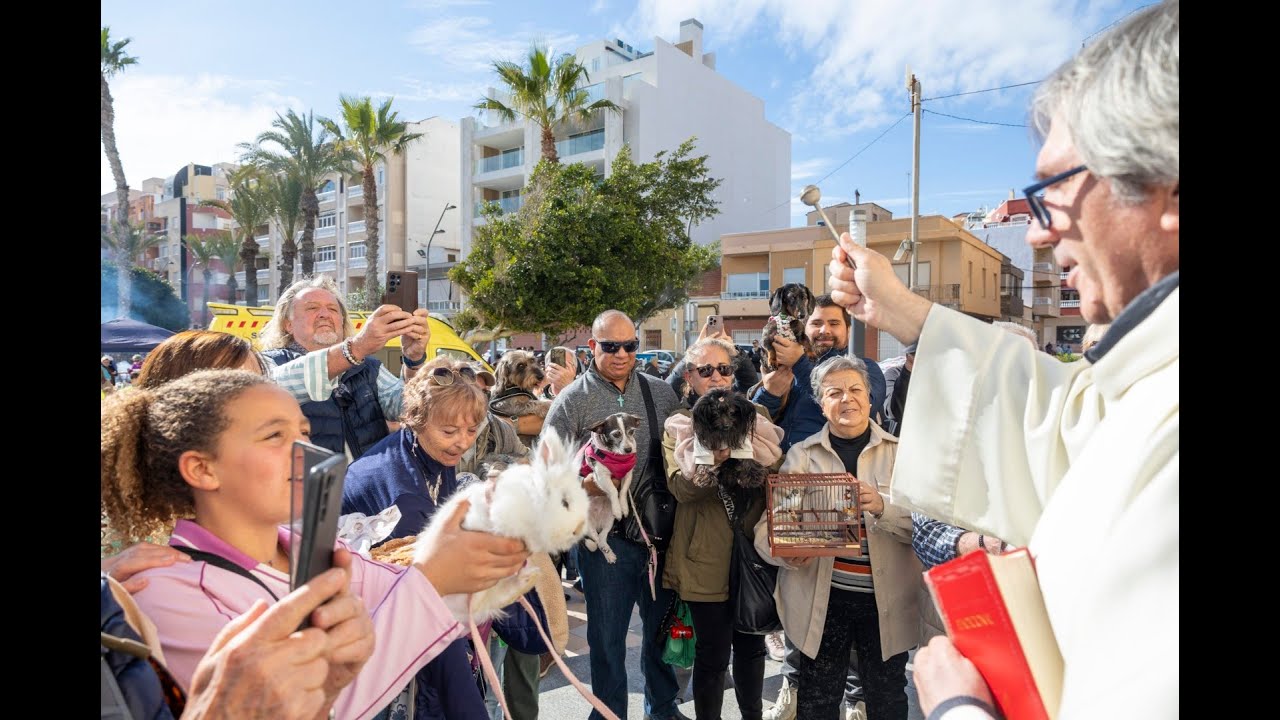 Dia de San Antón