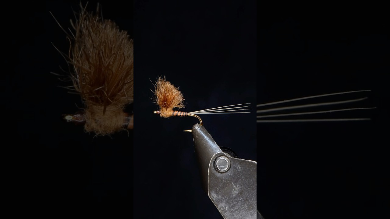 Пушки Банни Дун!