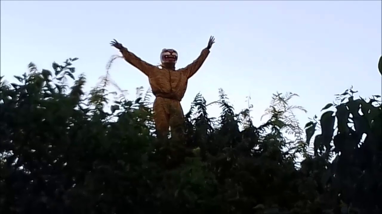 DANZA DEL TIGRE DE FATIMA