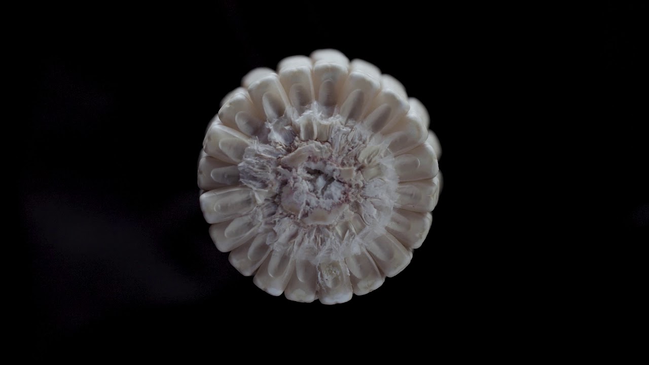 Asgrow Ant&iacute;lope