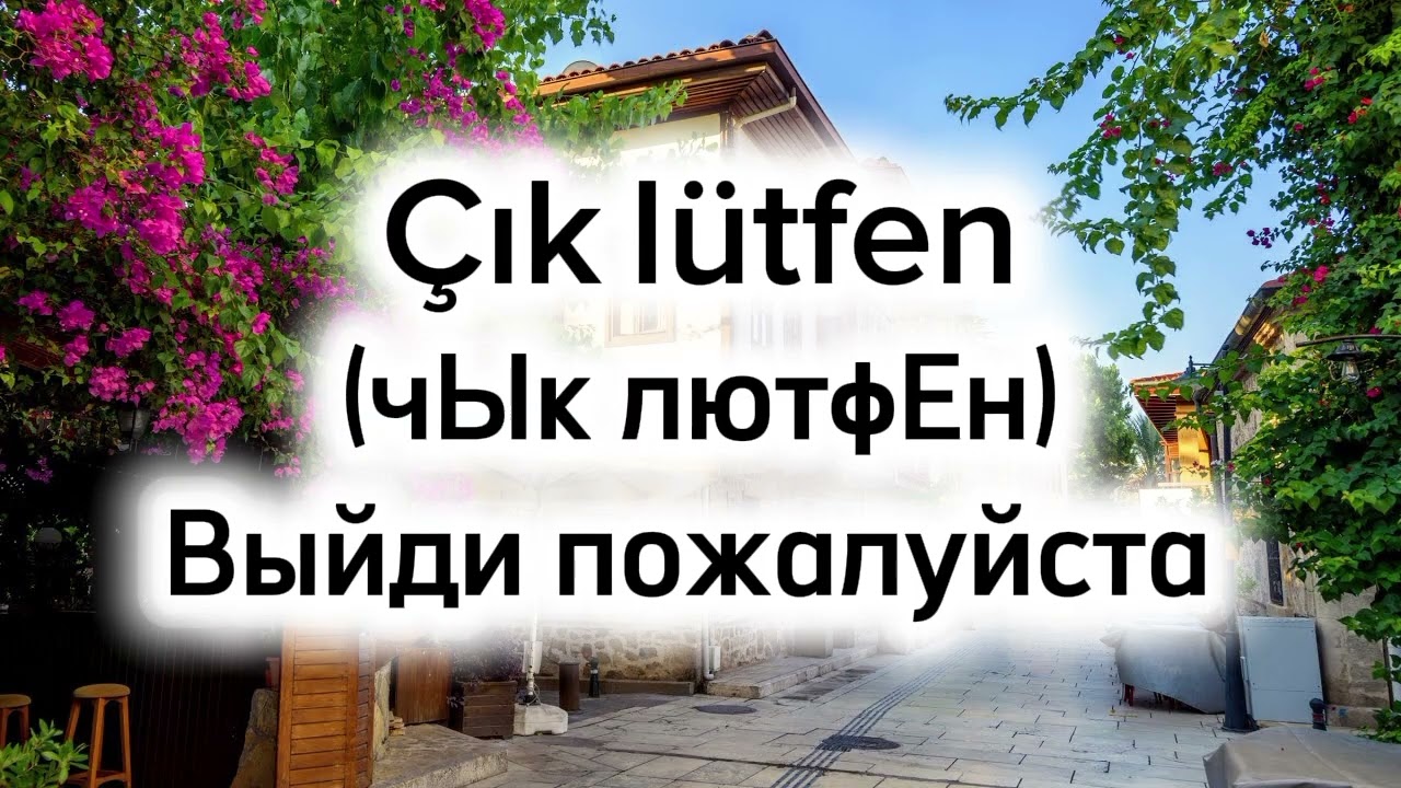 Скажи 