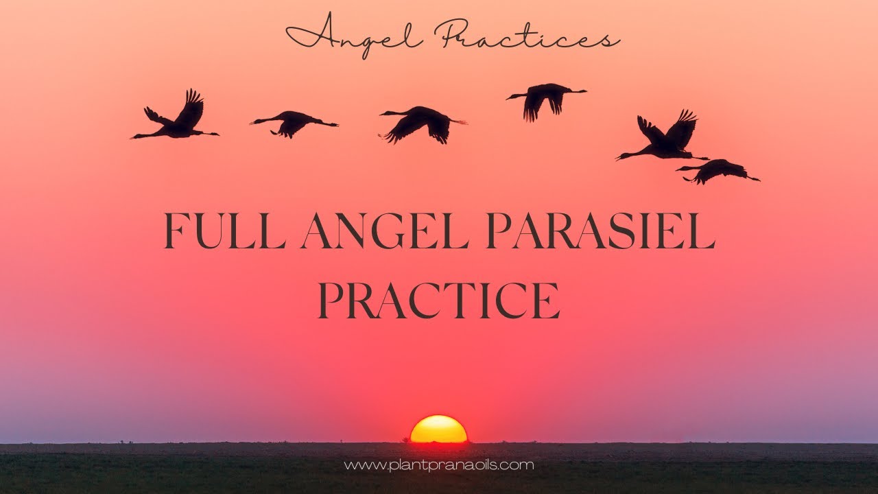 Full Angel Parasiel Practice