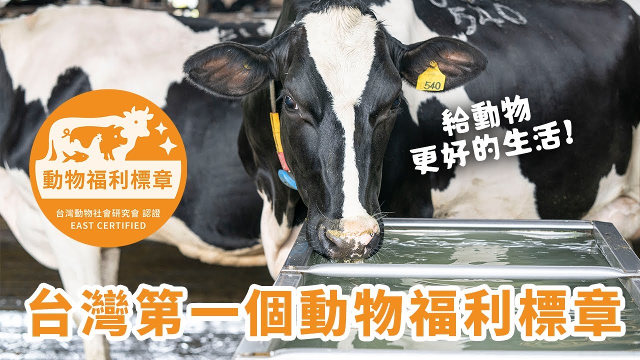 台灣第一個「動物福利標章」，給動物更好的生活！