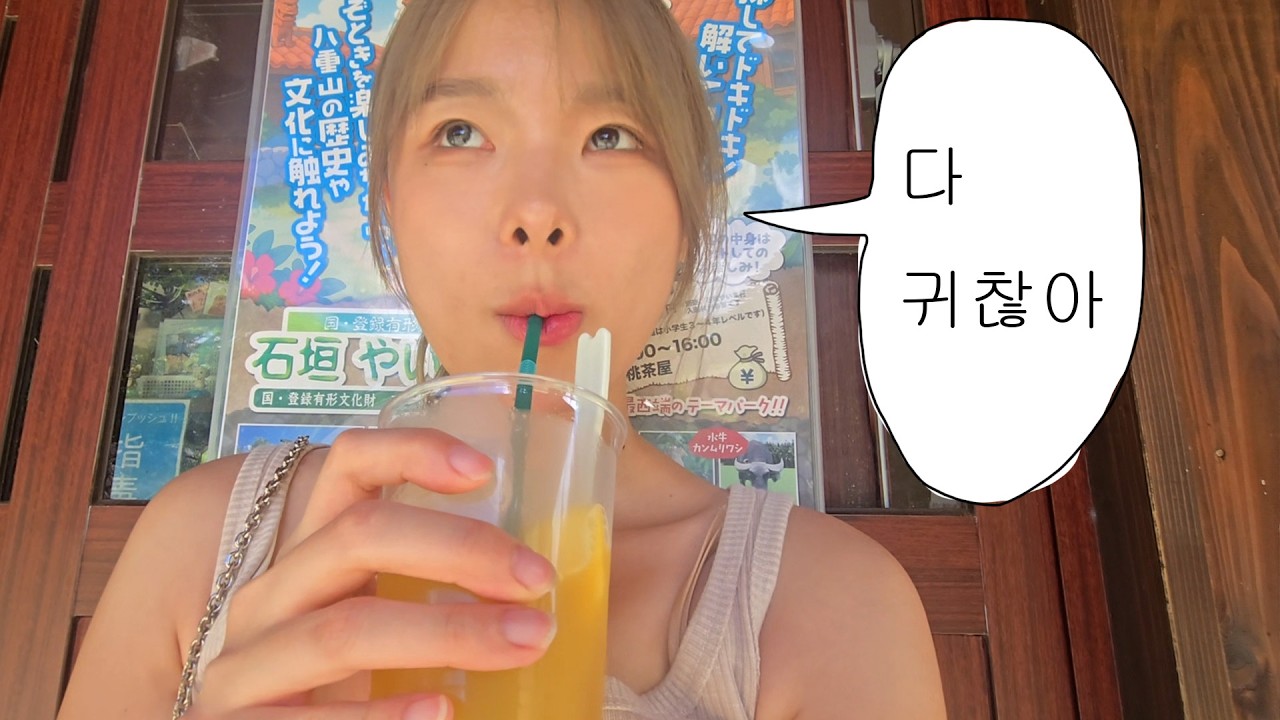 한국사회에 지쳐 아무도 모르는 일본섬으로 해외도피한 직장인 브이로그 1화