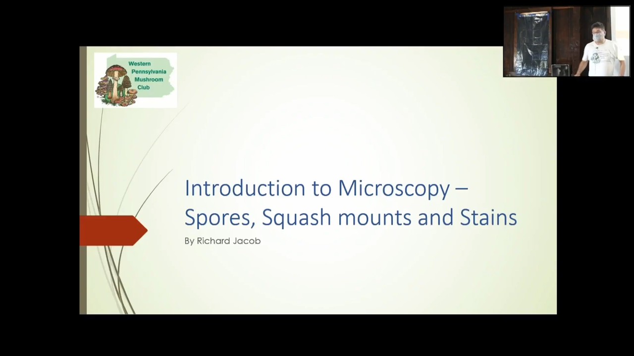 Microscopy: Spores, Squash Mounts & More – Richard Jacob – WPMC Lincoff Foray – Sep 2021