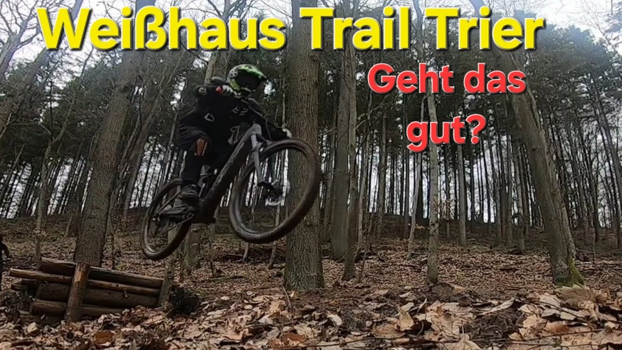 Trier Weisshauswald fahrvergnügen 😎