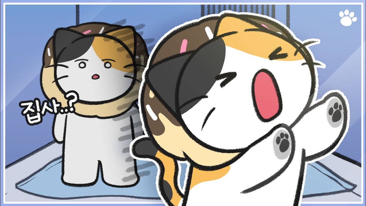 고양이 괴롭히는 위험한 질병 5가지