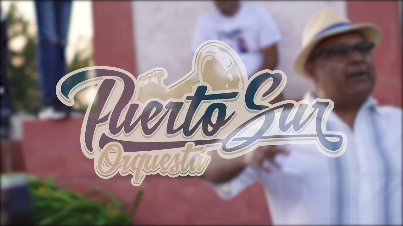 Puerto Sur Presenta: Clásicos Del Merengue Vol. 1