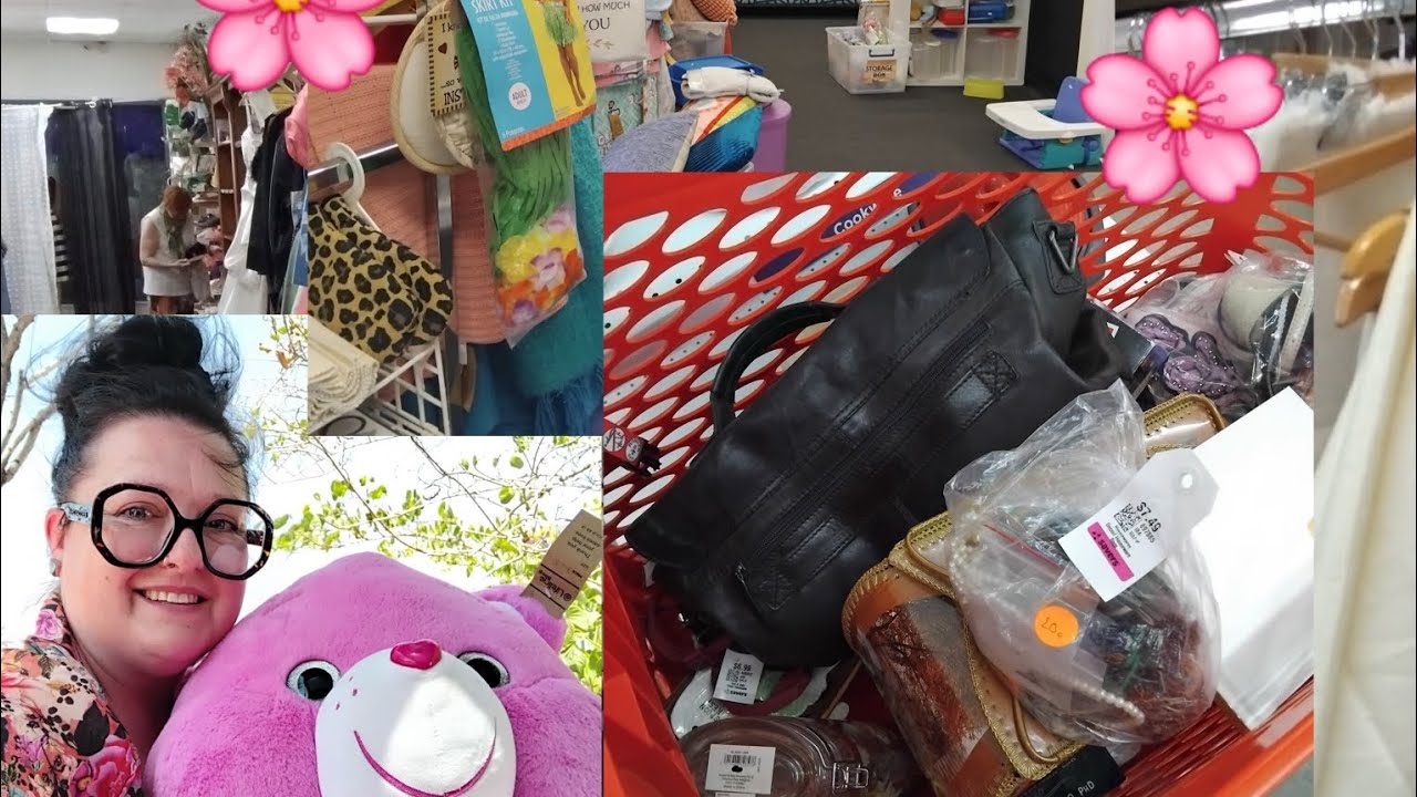 Vlog 61 Thrifted Care Bears And A Savers Run