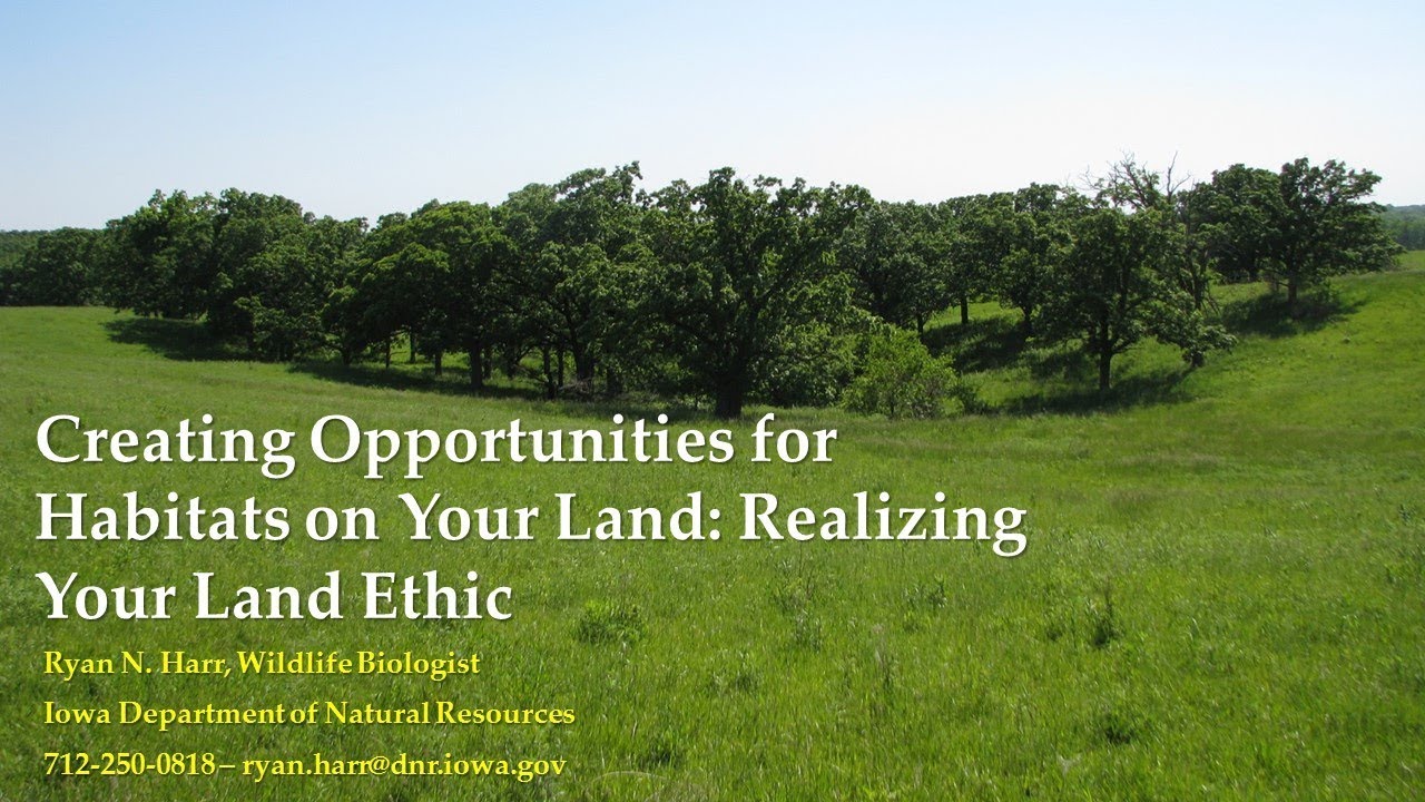 creating opportunities on your land