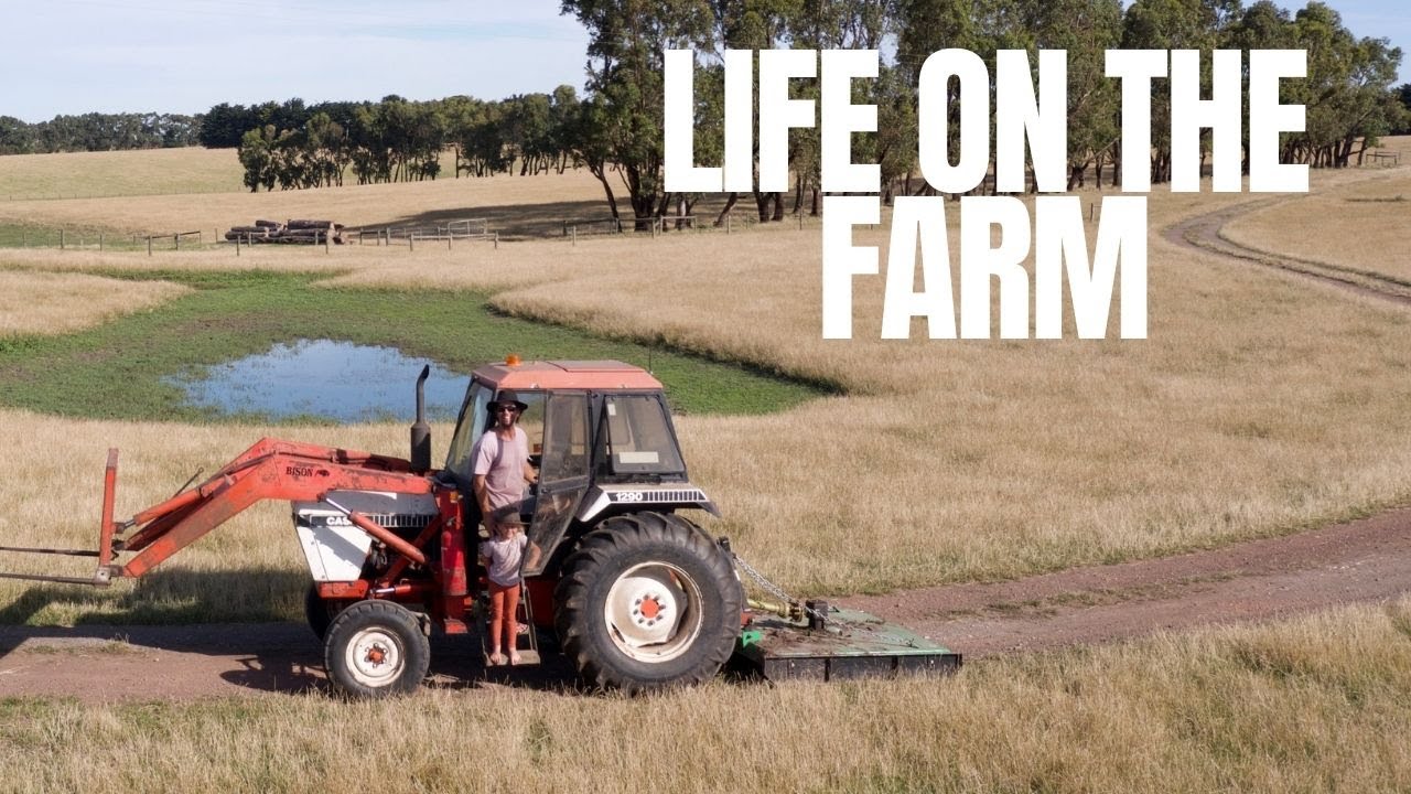 LIFE ON THE FARM | working, home schooling our kids and a few Shenannigans...... Roadtrip Australia