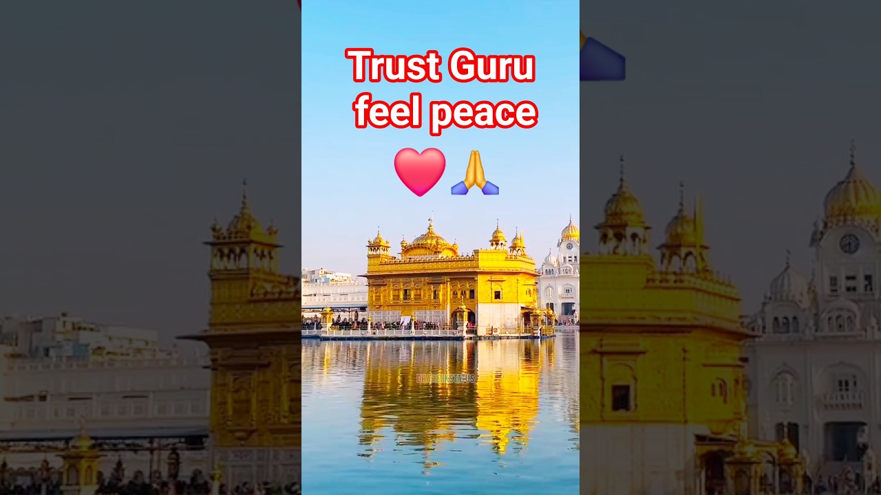 Trust Guru feel peace ❤️🙏 | 