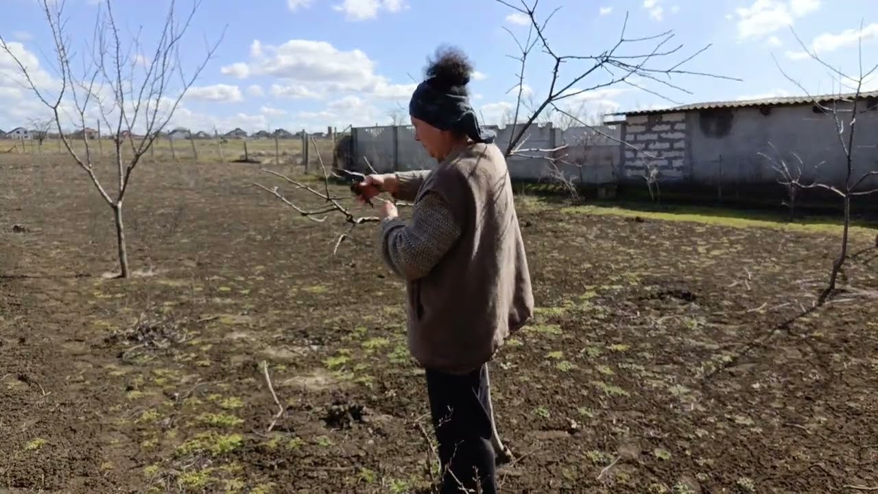 Подготовка огорода к посадке. Готовим антрекот