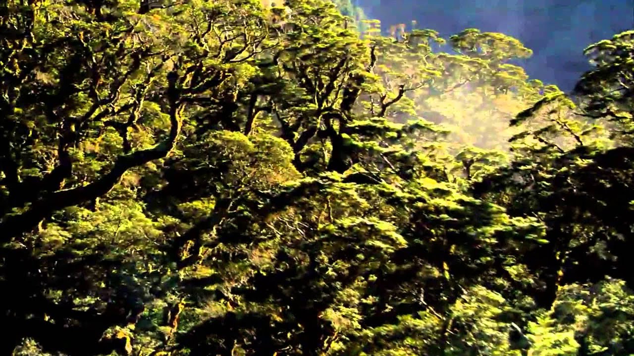 Stonevalley -Hybrid (Videoclip made from 