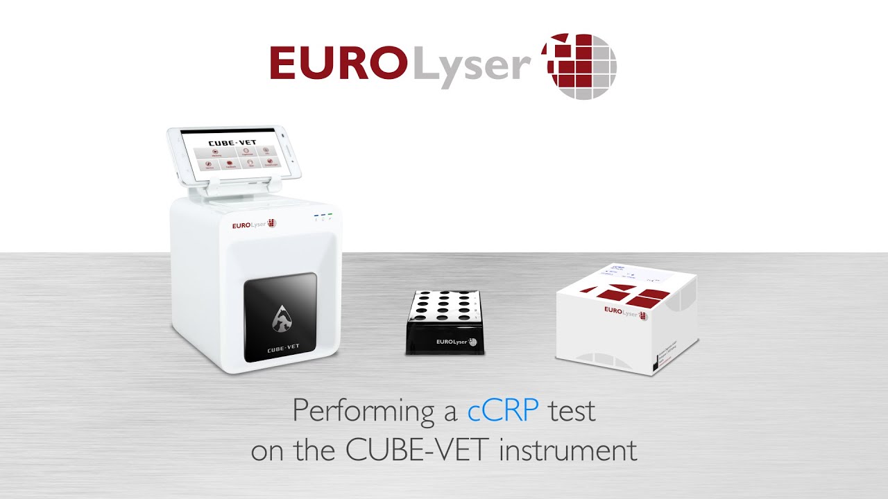 Performing a cCRP test on the EUROLyser CUBE-VET