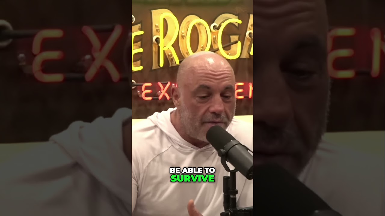 Joe Rogan & Bernie: Universal Basic Income WON'T Solve THIS!