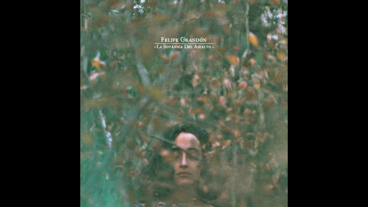 Felipe Grandón - Lisa [La Botánica del Asfalto 2013]
