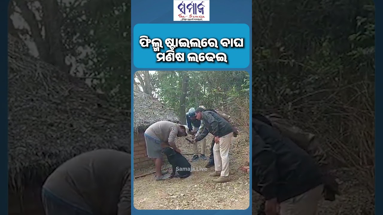 ବାଘ ମଣିଷ ଲଢେଇ : ବାଘ ମୃତ 