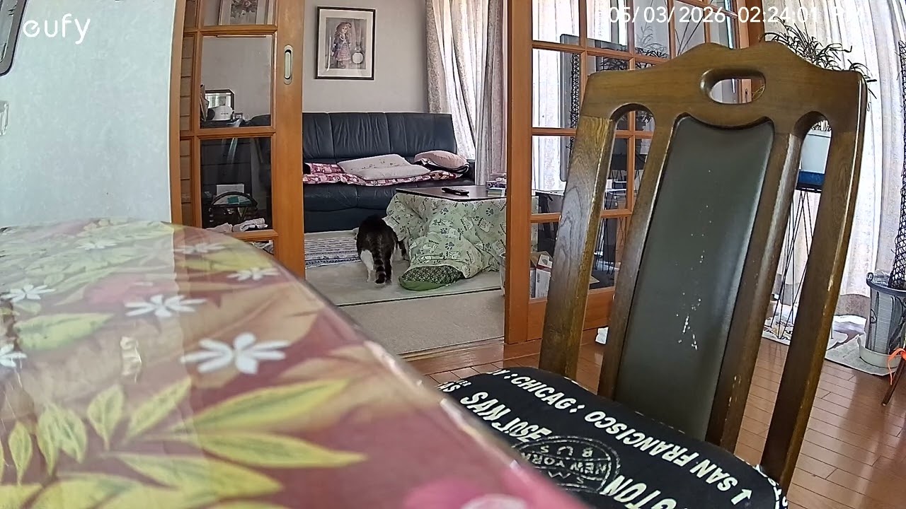 あれ？リオじゃない。