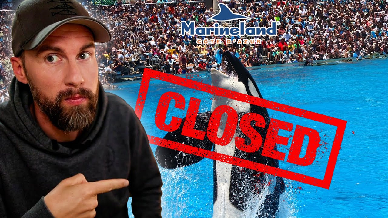 MEERESZOO MARINELAND GESCHLOSSEN! Was passiert mit den Orcas? | Robert Marc Lehmann