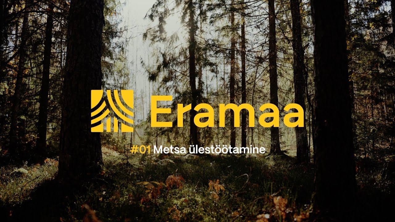 Eramaa – Metsa ülestöötamine