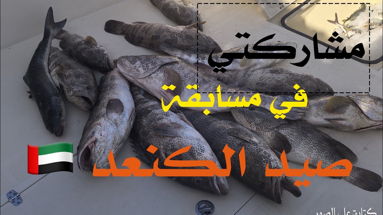 مشاركتي في مسابقة  بطولة ابوظبي الكبرى 🇦🇪4/4/2025 حتى 6/4/2025