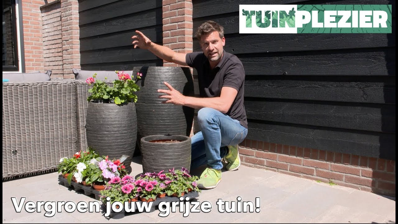 Vergroen jouw grijze tuin! | TUINPLEZIER