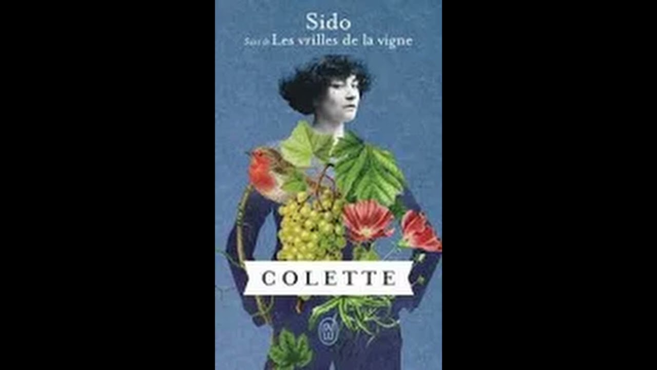 sido chapitre1 fin