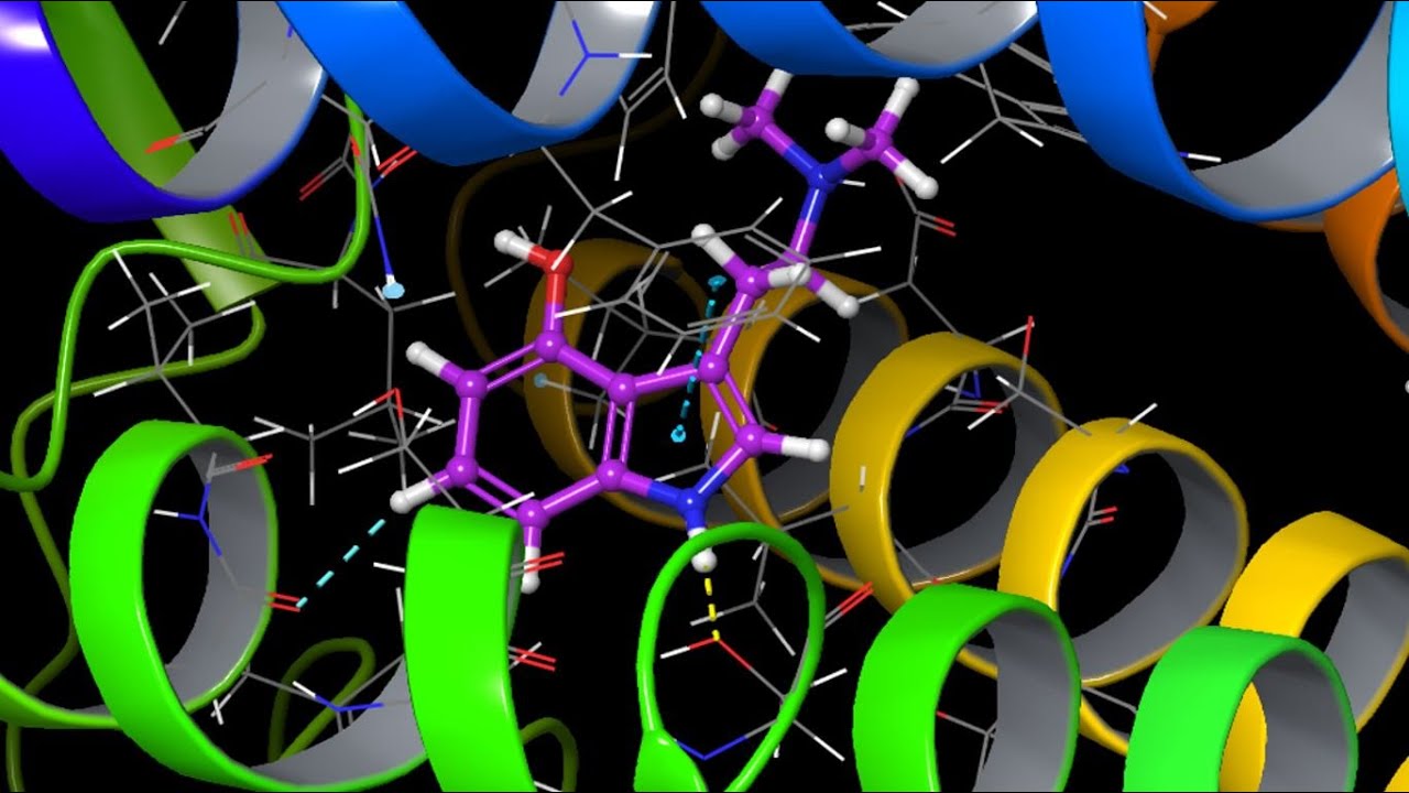 Psilocin in the 5HT2A active site (Virtual Reality)