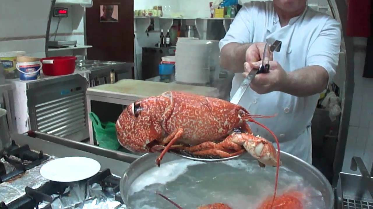 Love of Food   Casa Balbino   Sanlucar Spain
