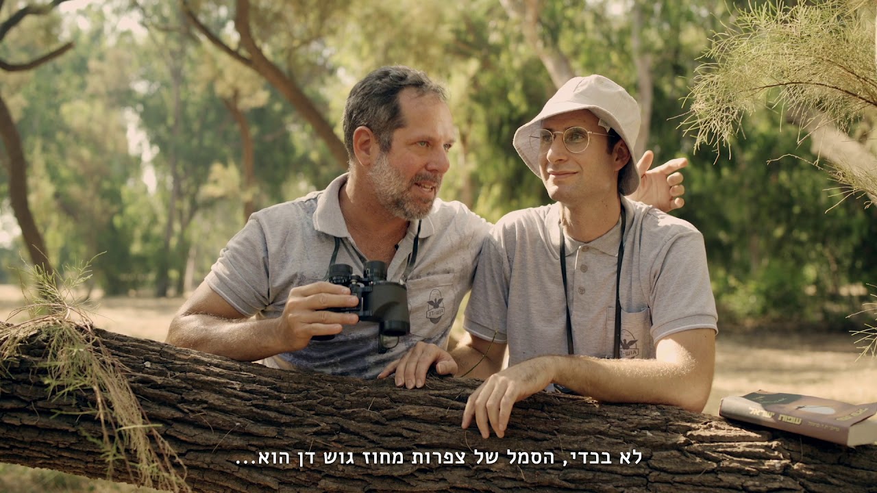 הצפרים