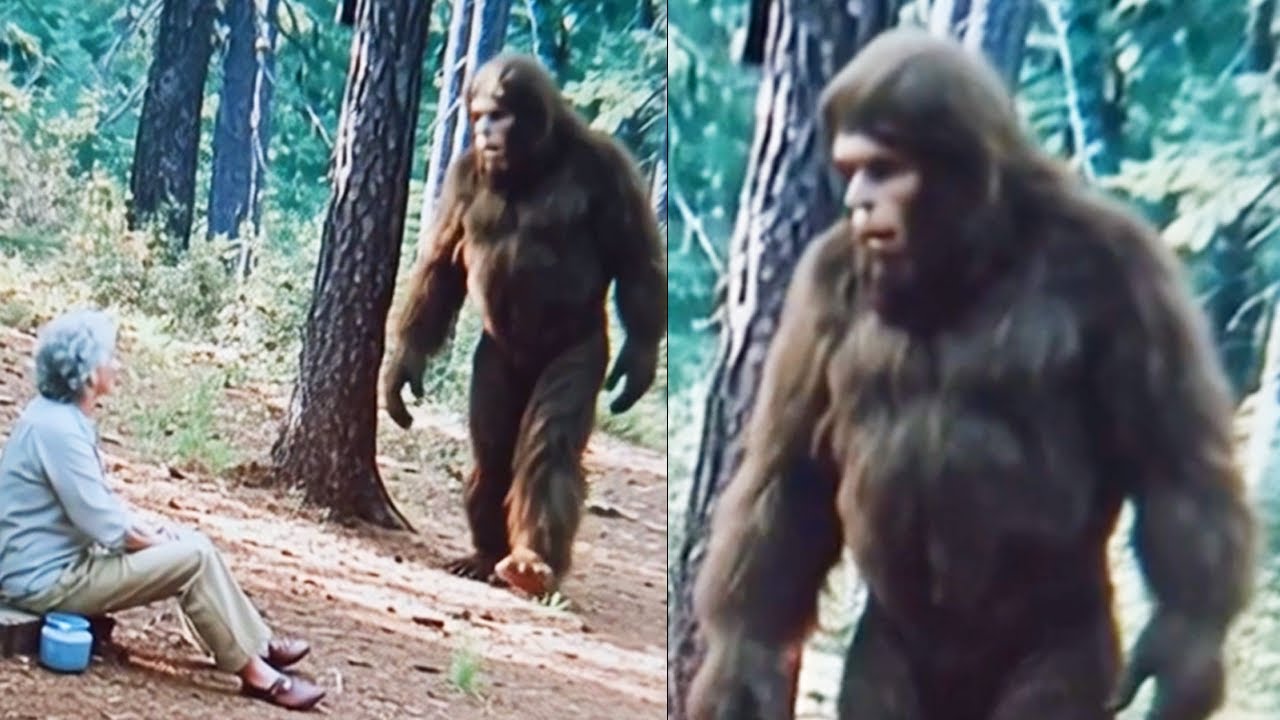 This Woman Met a Talking Sasquatch - Terrifying Bigfoot Story Finally Leaked