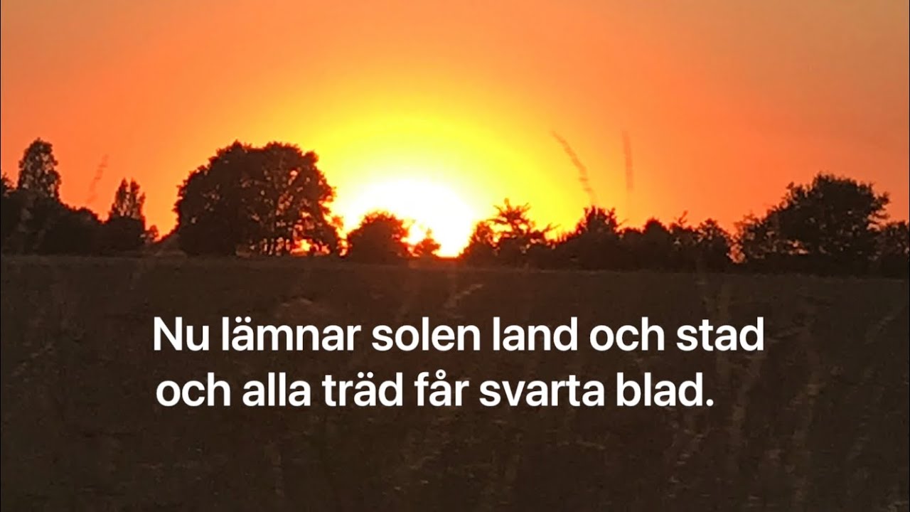 Godnatt du sol (med text) | Visa av Lennart Hellsing och Georg Riedel