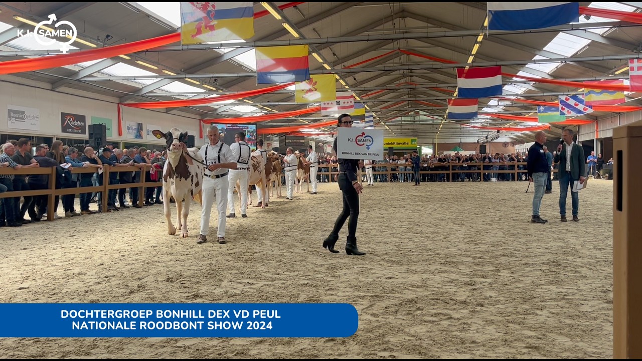 Dochtergroep Bonhill Dex vd Peul - Nationale Roodbont Show 2024 | K.I. SAMEN